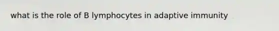 what is the role of B lymphocytes in adaptive immunity