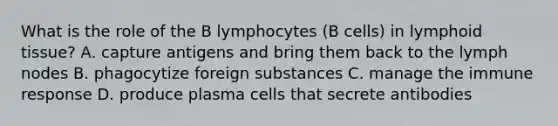 What is the role of the B lymphocytes (B cells) in lymphoid tissue? A. capture antigens and bring them back to the lymph nodes B. phagocytize foreign substances C. manage the immune response D. produce plasma cells that secrete antibodies