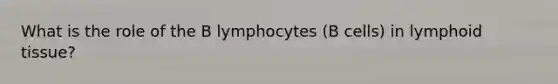 What is the role of the B lymphocytes (B cells) in lymphoid tissue?