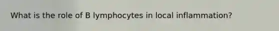 What is the role of B lymphocytes in local inflammation?