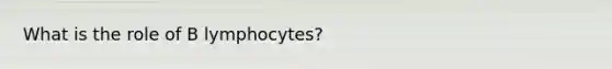 What is the role of B lymphocytes?