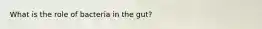 What is the role of bacteria in the gut?