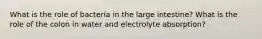 What is the role of bacteria in the large intestine? What is the role of the colon in water and electrolyte absorption?