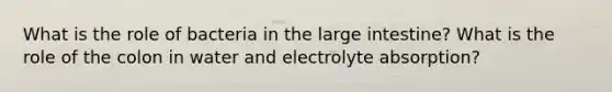 What is the role of bacteria in the large intestine? What is the role of the colon in water and electrolyte absorption?