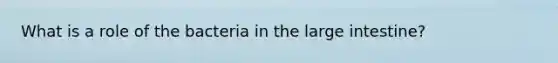 What is a role of the bacteria in the large intestine?