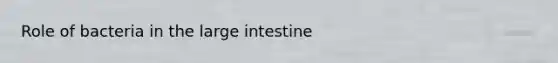 Role of bacteria in the <a href='https://www.questionai.com/knowledge/kGQjby07OK-large-intestine' class='anchor-knowledge'>large intestine</a>