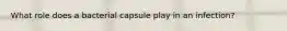 What role does a bacterial capsule play in an infection?