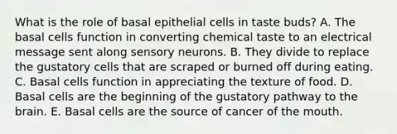 What is the role of basal epithelial cells in taste buds? A. The basal cells function in converting chemical taste to an electrical message sent along sensory neurons. B. They divide to replace the gustatory cells that are scraped or burned off during eating. C. Basal cells function in appreciating the texture of food. D. Basal cells are the beginning of the gustatory pathway to the brain. E. Basal cells are the source of cancer of the mouth.