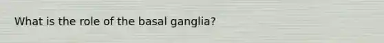 What is the role of the basal ganglia?