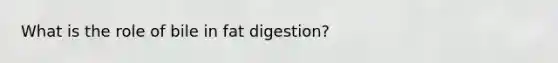 What is the role of bile in fat digestion?