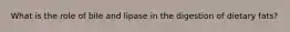 What is the role of bile and lipase in the digestion of dietary fats?