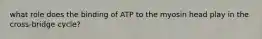 what role does the binding of ATP to the myosin head play in the cross-bridge cycle?