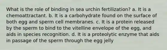 What is the role of binding in sea urchin fertilization? a. It is a chemoattractant. b. It is a carbohydrate found on the surface of both egg and sperm cell membranes. c. It is a protein released by the sperm to bind to the vitelline envelope of the egg, and aids in species recognition. d. It is a proteolytic enzyme that aids in passage of the sperm through the egg jelly