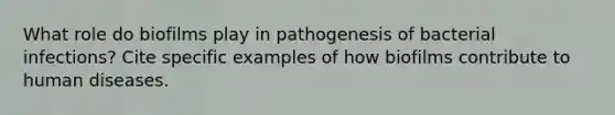 What role do biofilms play in pathogenesis of bacterial infections? Cite specific examples of how biofilms contribute to human diseases.