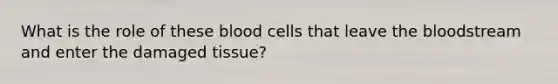 What is the role of these blood cells that leave the bloodstream and enter the damaged tissue?