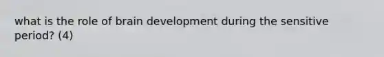 what is the role of brain development during the sensitive period? (4)