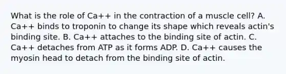 What is the role of Ca++ in the contraction of a muscle cell? A. Ca++ binds to troponin to change its shape which reveals actin's binding site. B. Ca++ attaches to the binding site of actin. C. Ca++ detaches from ATP as it forms ADP. D. Ca++ causes the myosin head to detach from the binding site of actin.