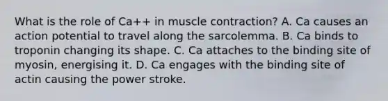 What is the role of Ca++ in muscle contraction? A. Ca causes an action potential to travel along the sarcolemma. B. Ca binds to troponin changing its shape. C. Ca attaches to the binding site of myosin, energising it. D. Ca engages with the binding site of actin causing the power stroke.