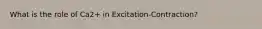 What is the role of Ca2+ in Excitation-Contraction?