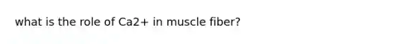 what is the role of Ca2+ in muscle fiber?