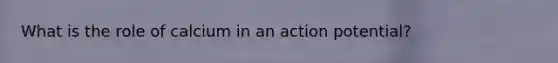 What is the role of calcium in an action potential?