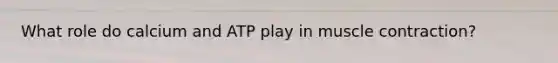 What role do calcium and ATP play in muscle contraction?