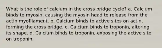 What is the role of calcium in the cross bridge cycle? a. Calcium binds to myosin, causing the myosin head to release from the actin myofilament. b. Calcium binds to active sites on actin, forming the cross bridge. c. Calcium binds to troponin, altering its shape. d. Calcium binds to troponin, exposing the active site on troponin.