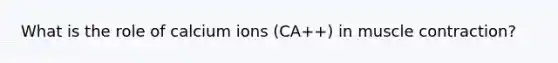 What is the role of calcium ions (CA++) in muscle contraction?