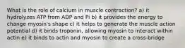 What is the role of calcium in muscle contraction? a) it hydrolyzes ATP from ADP and Pi b) it provides the energy to change myosin's shape c) it helps to generate the muscle action potential d) it binds troponin, allowing myosin to interact within actin e) it binds to actin and myosin to create a cross-bridge