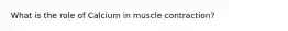 What is the role of Calcium in muscle contraction?