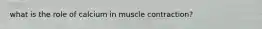 what is the role of calcium in muscle contraction?