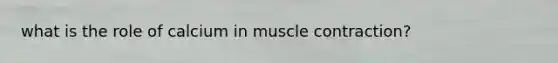 what is the role of calcium in muscle contraction?