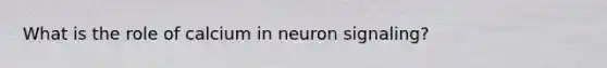 What is the role of calcium in neuron signaling?