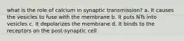 what is the role of calcium in synaptic transmission? a. It causes the vesicles to fuse with the membrane b. It puts NTs into vesicles c. It depolarizes the membrane d. It binds to the receptors on the post-synaptic cell