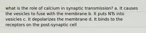 what is the role of calcium in synaptic transmission? a. It causes the vesicles to fuse with the membrane b. It puts NTs into vesicles c. It depolarizes the membrane d. It binds to the receptors on the post-synaptic cell