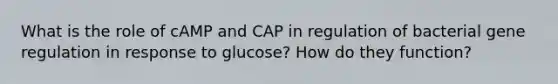 What is the role of cAMP and CAP in regulation of bacterial gene regulation in response to glucose? How do they function?