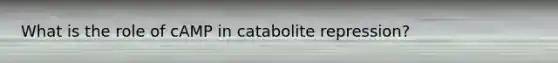 What is the role of cAMP in catabolite repression?