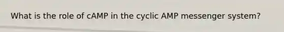 What is the role of cAMP in the cyclic AMP messenger system?