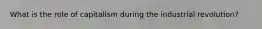 What is the role of capitalism during the industrial revolution?
