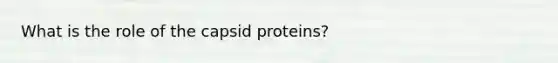 What is the role of the capsid proteins?