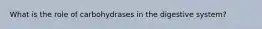 What is the role of carbohydrases in the digestive system?