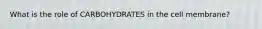 What is the role of CARBOHYDRATES in the cell membrane?