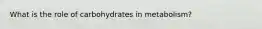 What is the role of carbohydrates in metabolism?