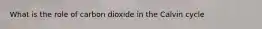 What is the role of carbon dioxide in the Calvin cycle