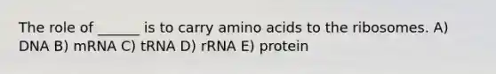 The role of ______ is to carry amino acids to the ribosomes. A) DNA B) mRNA C) tRNA D) rRNA E) protein