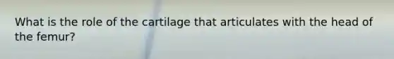 What is the role of the cartilage that articulates with the head of the femur?