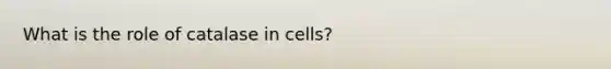 What is the role of catalase in cells?