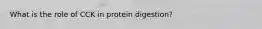 What is the role of CCK in protein digestion?