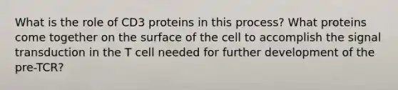 What is the role of CD3 proteins in this process? What proteins come together on the surface of the cell to accomplish the signal transduction in the T cell needed for further development of the pre-TCR?