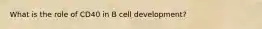 What is the role of CD40 in B cell development?